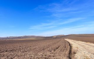 Vanzare I Teren I Suceava/Stroiesti I 100 ARI 2999 Euro/Ar - Poză 8