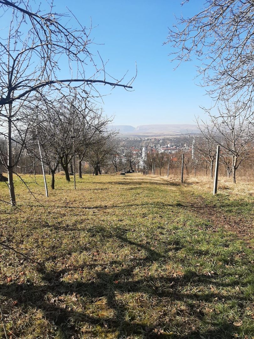 Teren de vanzare in Turda - Poză 6