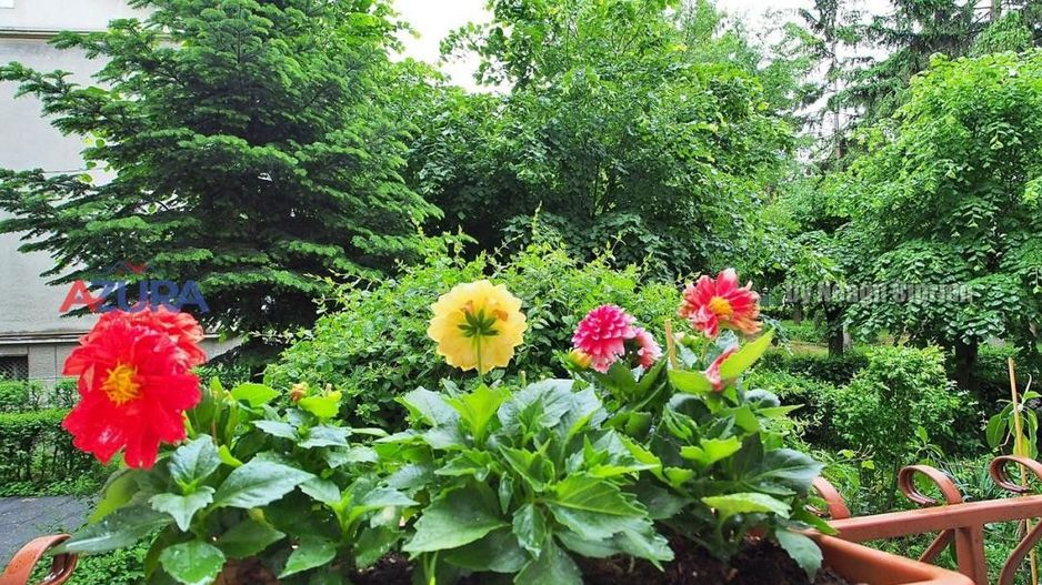 Apartament 3 camere zona Traian - Poză 22