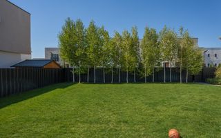 Casa cu Mesteceni!  Complex Lalelelor Domnești - Poză 24