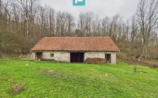 Casă cu teren de 24.679,73 mp, în Hălmagiu, Arad - Poză 12