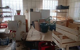 Spatiu comercial Viisoara - Poză 4