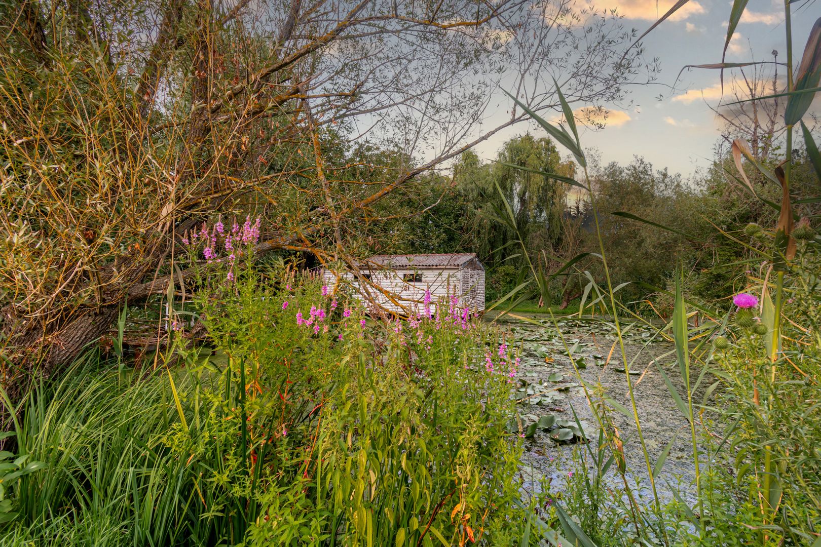 Teren Lacul Snagov 1.976 mp | 19,18 m front la lac | Vilă P+1 | 0% com - Poză 6