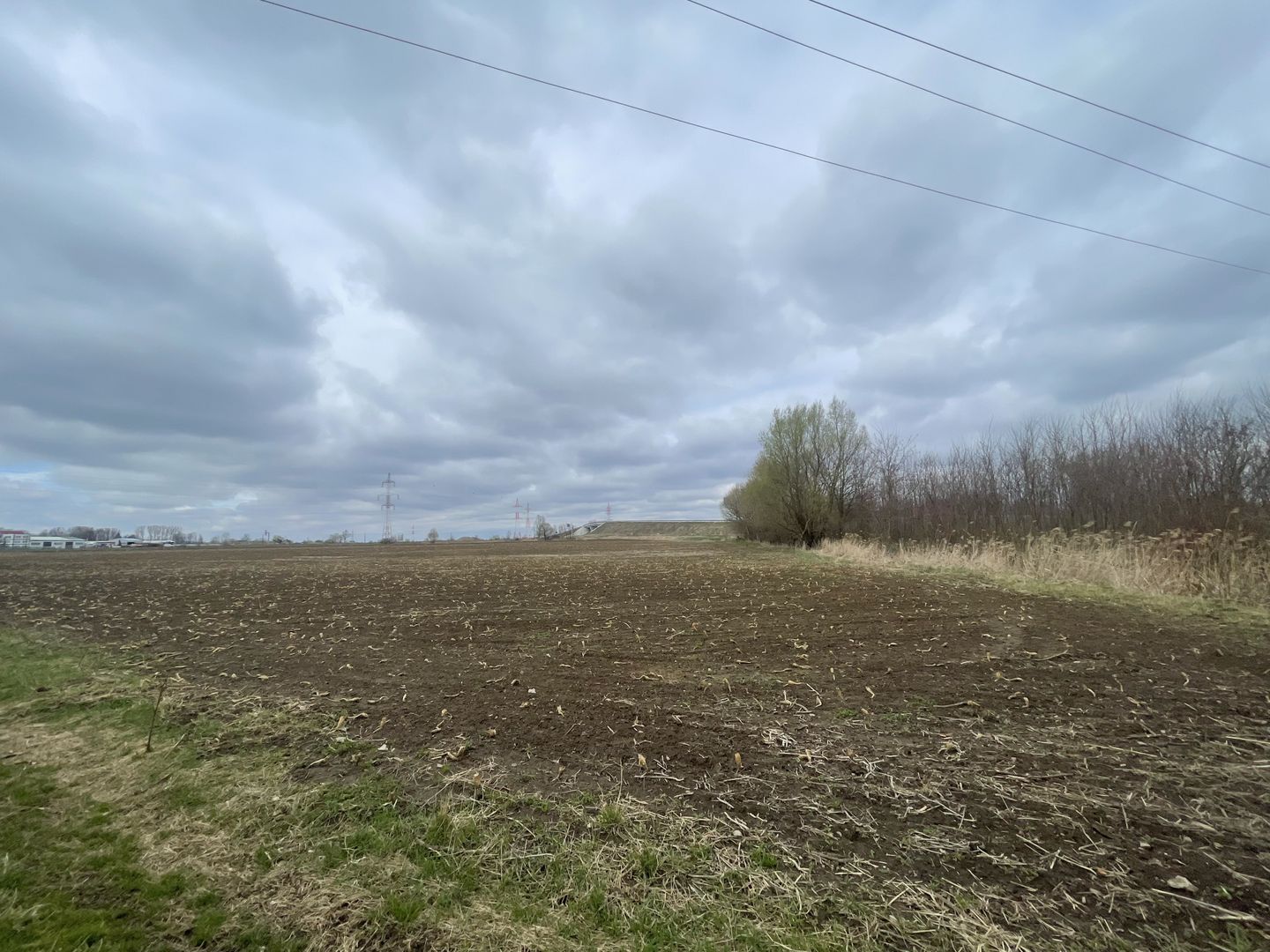 TEREN INTRAVILAN | 50 ARI | ZONA PERIFERICA RADAUTI - Poză 3