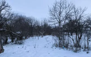 Casa P+Beci + 1.451 mp Teren ( Toate utilitatile)  – Langă Profi/Pepco - Poză 13