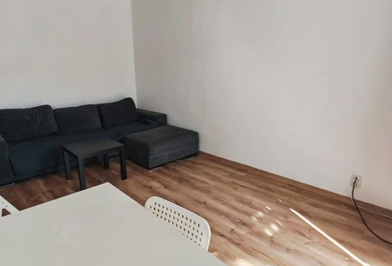GARSONIERA- OZANA, CAT-FRIENDLY, BLOC REABILITAT, METROU, MODERN - Poză 2
