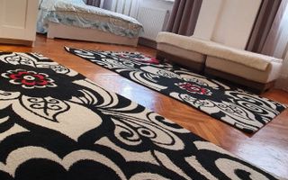 Inchiriere apartament spatios, Centru - Eremia - Poză 11