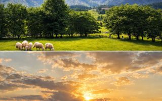 Teren cu priveliște spectaculoasă în Bran – Sohodol - Poză 5