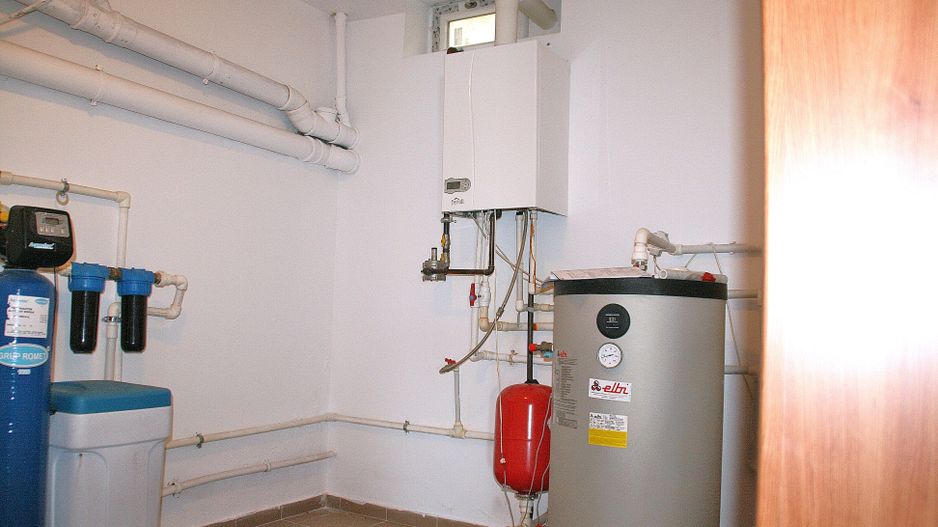 BRANESTI, cu deschidere la Balta Branesti, inchiriere vila 7 camere - Poză 15