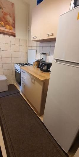 De vanzare Apartament 3 camere in vila, Hala Traian- Mantuleasa - Poză 14