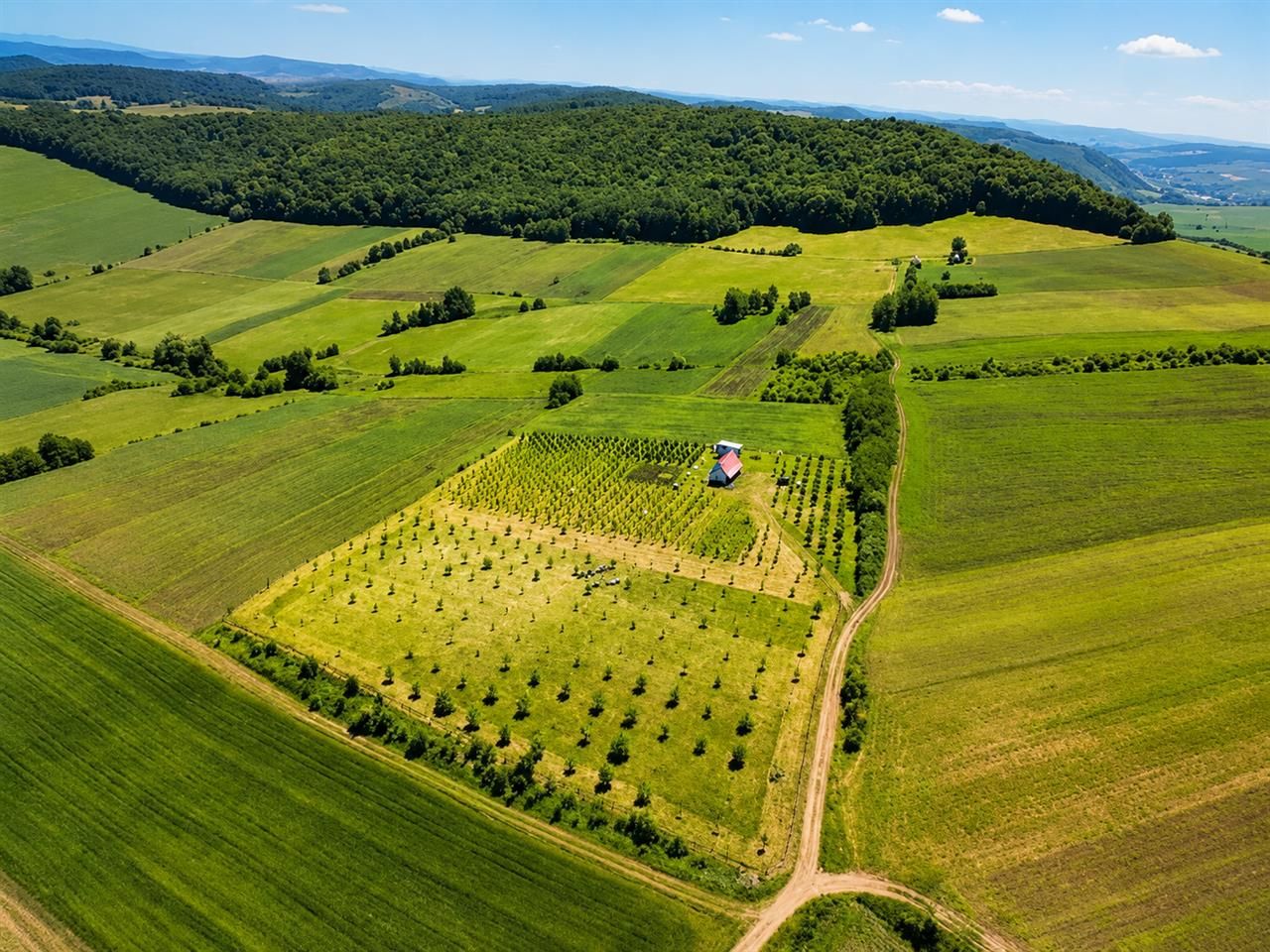 Afacere la cheie, dar si refugiu intr-o oaza de liniste in peisaj pitoresc: 25. - Poză 1