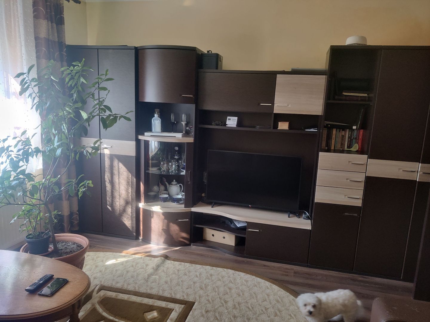 CASA CU TEREN 838 MP ZONA STEAUA - Poză 16