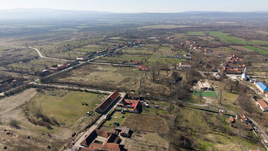 Conac nobiliar de secol XIX cu 8 camere în Maciova - Poză 14