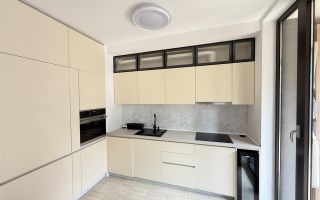Inchiriere apartament 3 camere Gradina zoo- Privighetorilor, Bucuresti - Poză 11