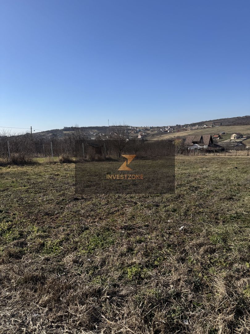 Teren intravilan Săldăbagiu De Munte - Poză 6