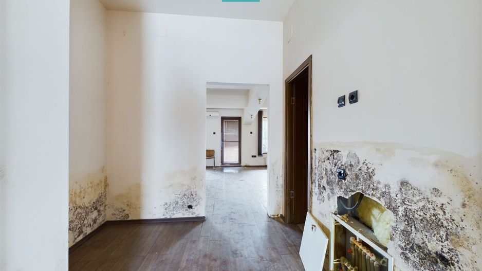 Casă 3 camere, Cartierul Verde - Poză 5