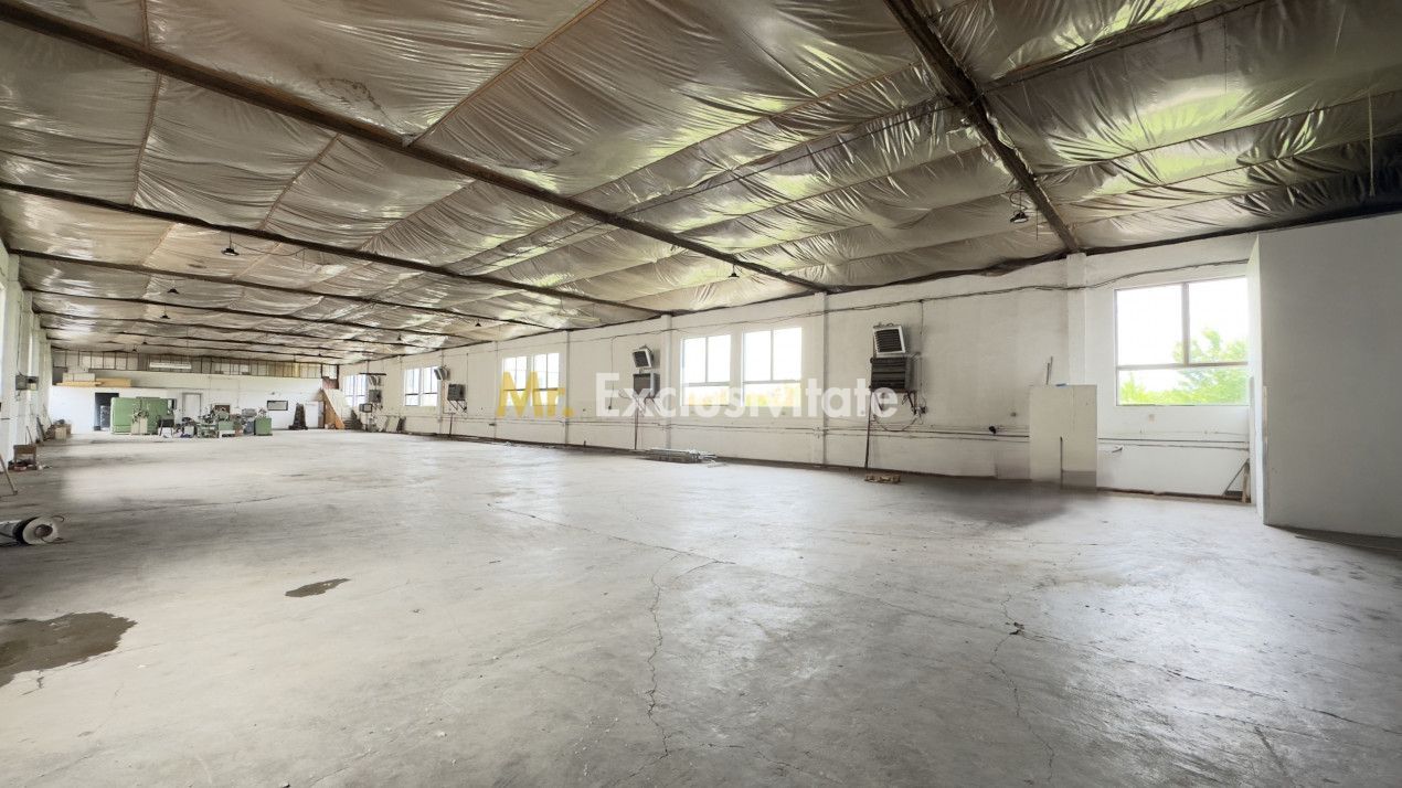 Clădire Industrială Hală Producție, Depozitare, Birouri-Teren 3140 mp - Carei - Poză 14
