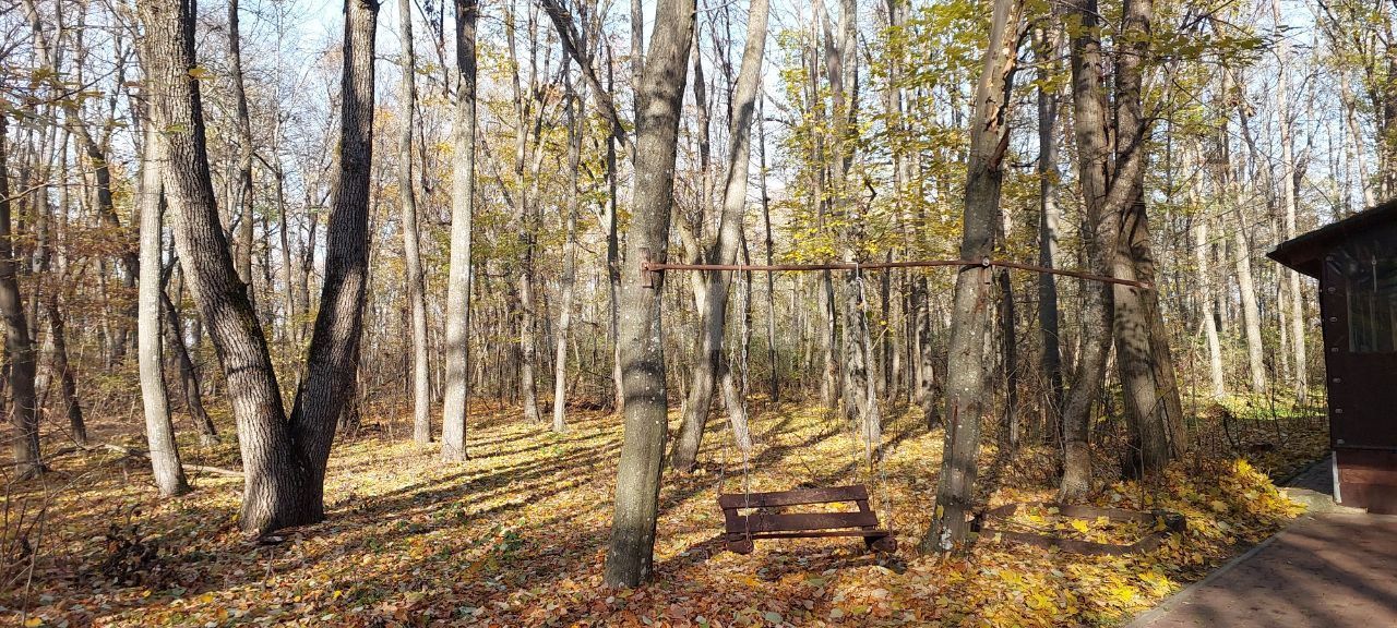 50 ari de Teren forestier si de recreere in Codri!! - Poză 2