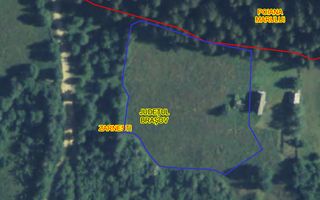 Platou montan, 6631 mp intravilan, electricitate,  langa pădure - Poză 6