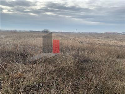 Vanzare Teren 3200mp  Cornetu  Ilfov - Poză 15