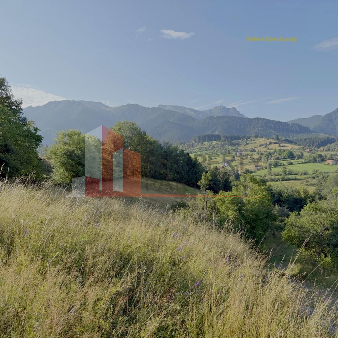 Teren Sohodol 10.398 mp  cu vedere panoramica - Poză 5