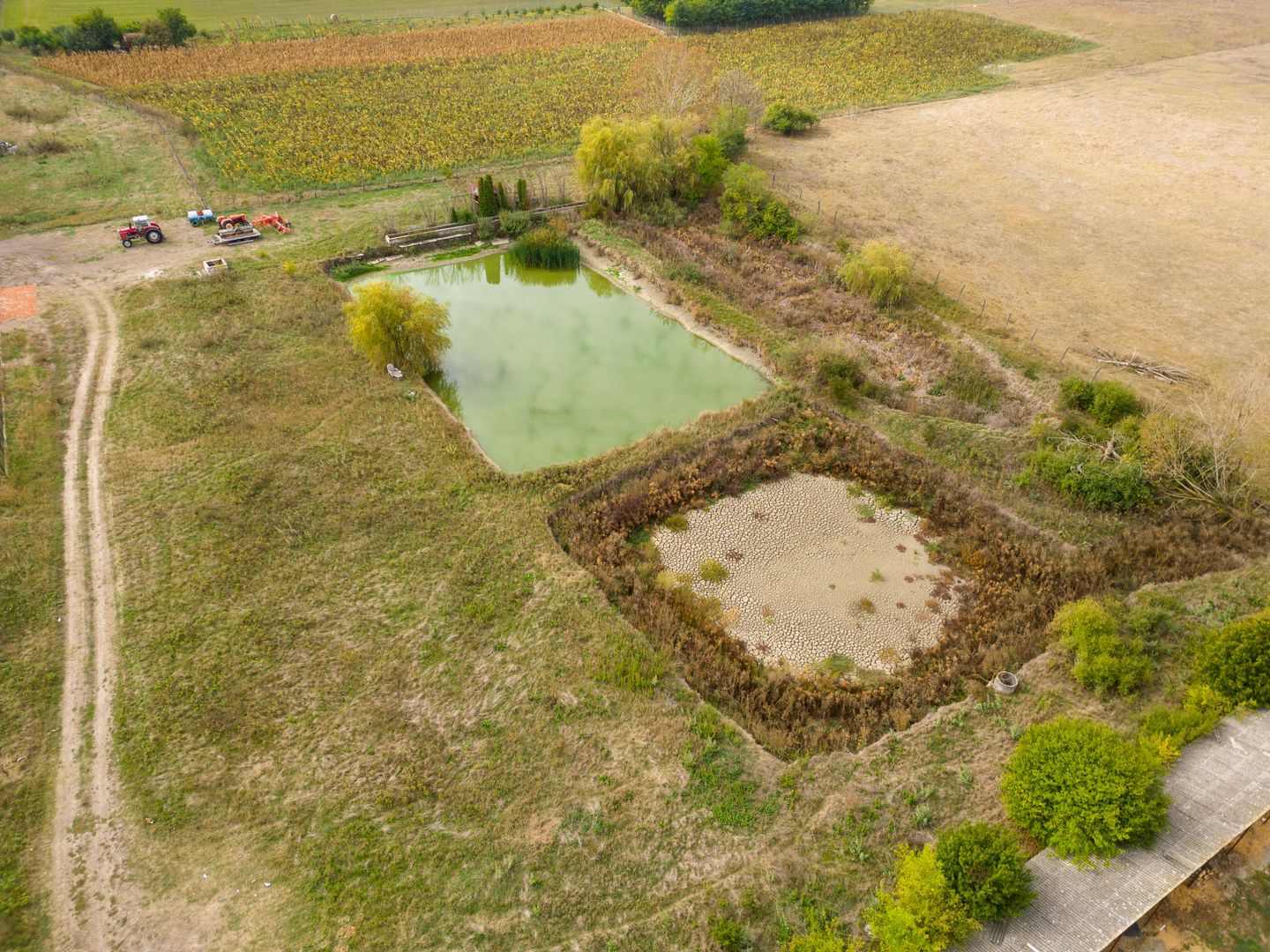 Teren intravilan cu iazuri și casă - Chișineu-Criș - Poză 7