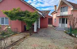 OFERTĂ in Băcia, Hunedoara ! Proprietate 2 case + Cabană + Livadă