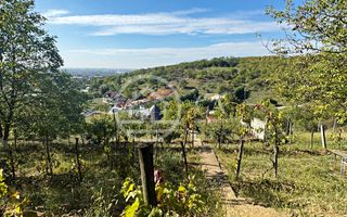 Casa de vanzare cu 3 camere in Oncea, Oradea - Poză 16