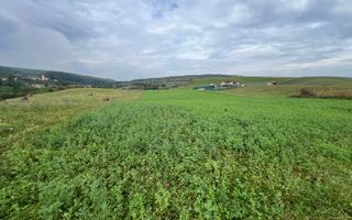 Teren | 1.500 MPU | Bradu - Poză 1