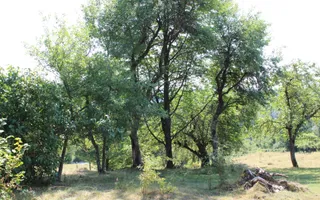 Terenuri Carpinis I parcelabil I Curent pe proprietati - Poză 77