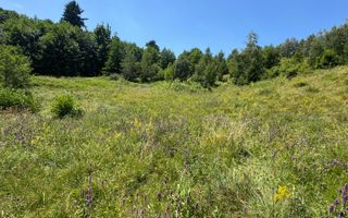 Teren intravilan 4600mp - 55 EUR/mp - EXCLUSIVITATE CISNADIOARA - COMISION 0% - Poză 12