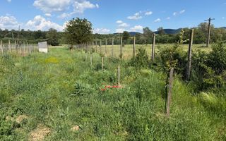 Teren intravilan, 2300mp - Vinerea ( Cugir ) - Poză 2