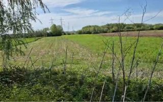Teren Agrigol Arabil | Titu | Dambovita | 5000 mp | Sosea - Poză 5