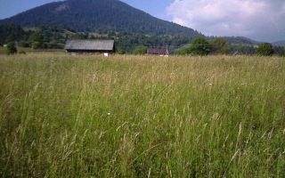 Oportunitate langa lacul Colibita! Teren intravilan 12.588 mp! - Poză 3