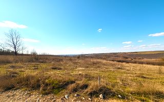 Teren Intravilan Parcelare, Lac Paleu, 8592mp, Deschidere 32ml - Poză 2