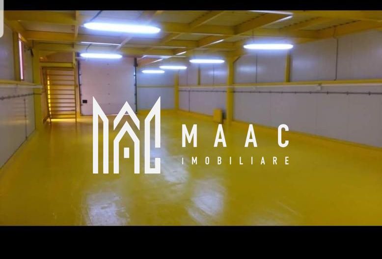 Hala | 500 MP | Zona Dovali - Spatiu depozitare - Poză 6