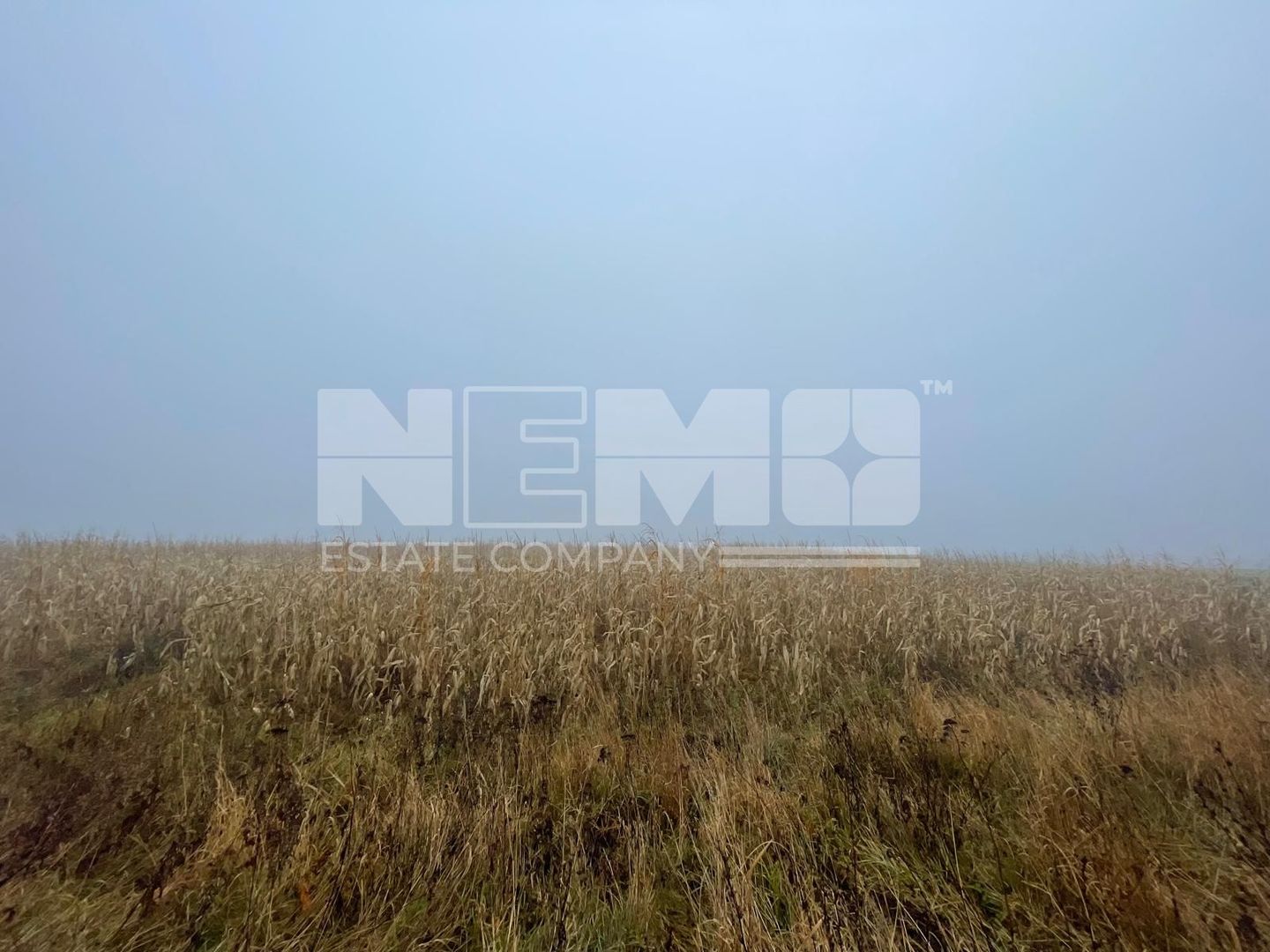 TEREN EXTRAVILAN | DOUA PARCELE| 70 ARI| IDEAL AGRICOL| CALAFINDESTI - Poză 5