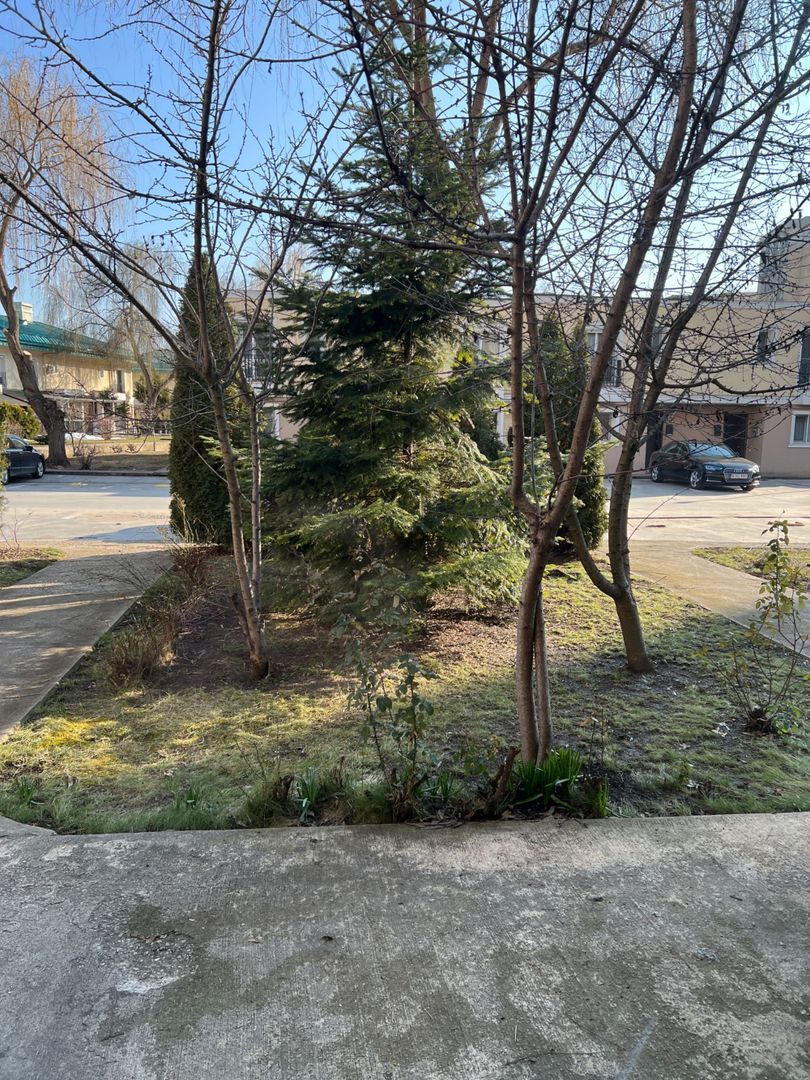 Casa de inchiriat- Cosmopolis - Poză 5