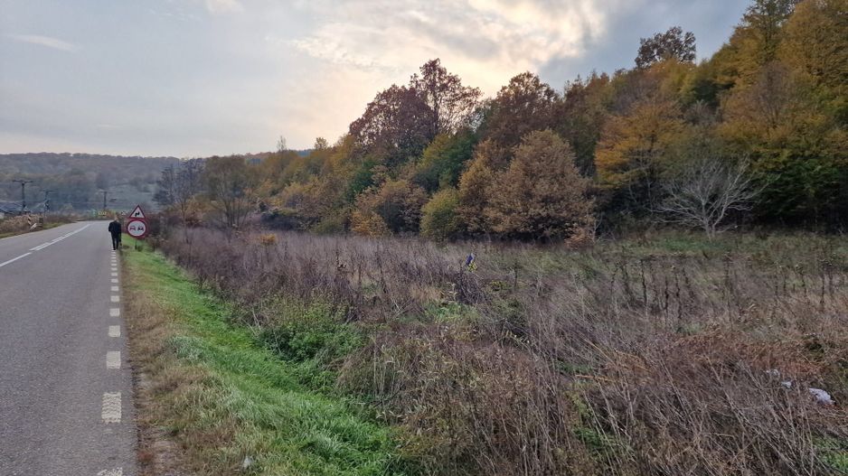 Teren 1,717mp Margineni / Strada Sat podis - Poză 5