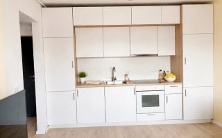 Apartament 2 camere Regie Novum Residence Orhideea Grozavesti - Poză 3