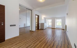 Apartament duplex - 4 camere+2 terase - vanzare - Kiseleff - Poză 20