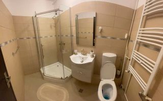 Garsoniera Mihai Bravu - Poză 7