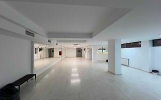 220 m2- studio dans de închiriat Sector 4, București - Poză 5