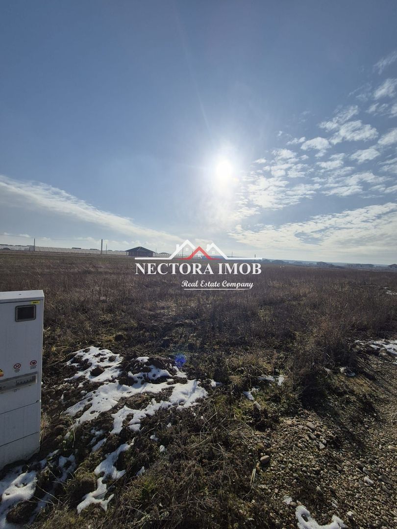 NECTORA IMOB-Teren Intravilan, 500 mp, Front 20ml,Zona CIHEI,Utilitati - Poză 2