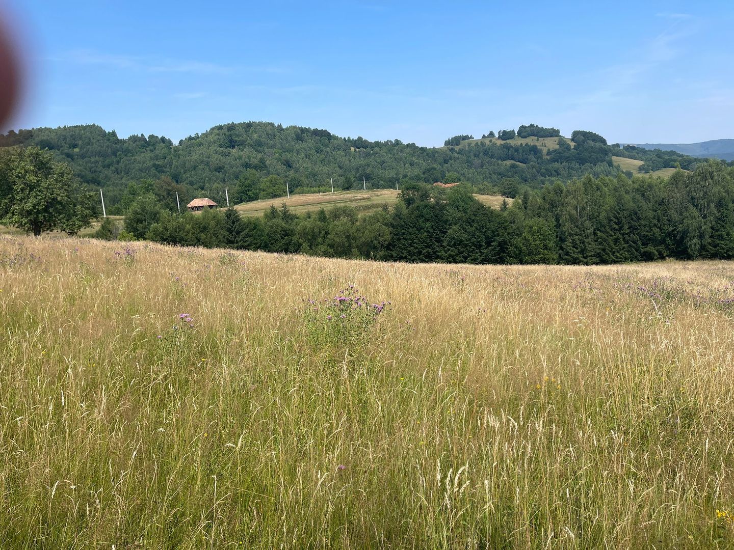 Teren intravilan I Loc deosebit, inconjurat de padure I Vladeasa - Poză 2