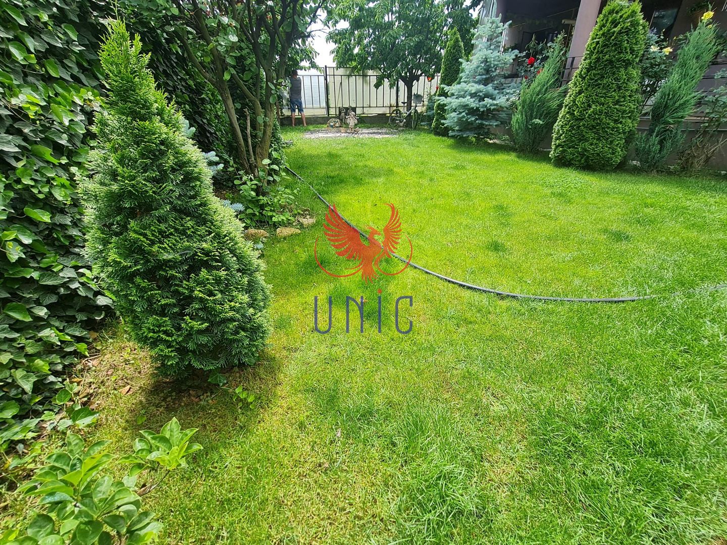 Vila cu 600 mp curte,  Bariera Valcii! - Poză 3