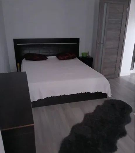 AP. 2 CAMERE- DRISTOR, BLOC REABILITAT, BUCATARIE INCHISA, MODERN - Poză 8