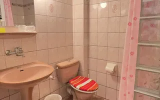 Pensiune de vânzare - Slănic Moldova - Poză 15