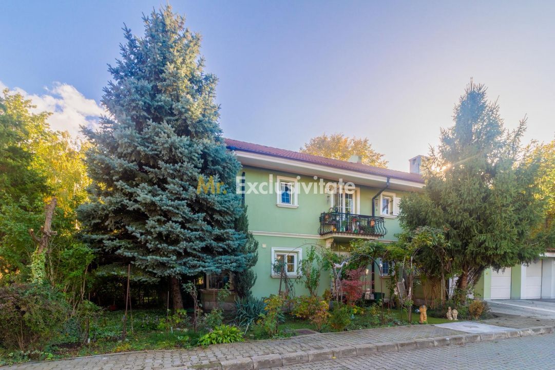 Vila  Iancu Nicolae, cartier exclusivist - Poză 39