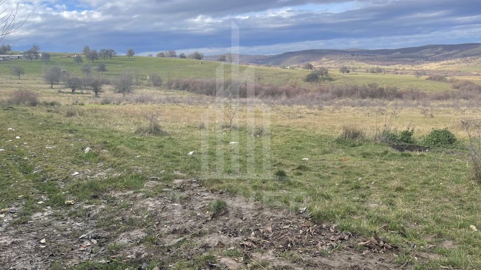 parcele de teren intravilan constructie case-zona  Daia - Poză 6